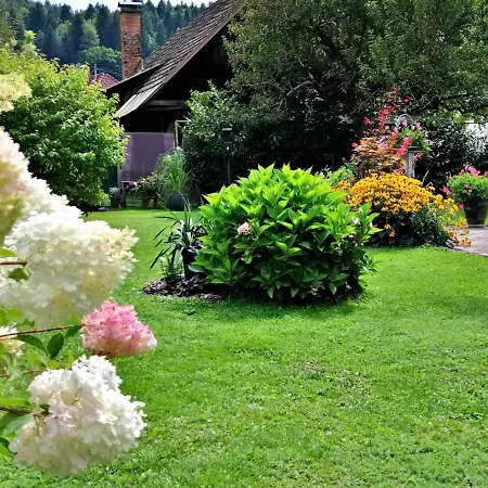 Apartment Komposch - Adults Only *