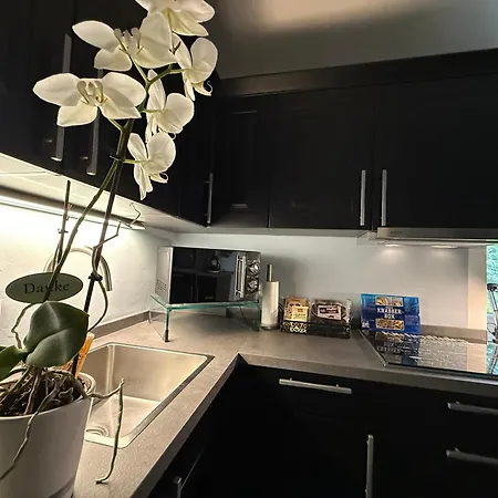 Komposch - Adults Only 라이프니츠