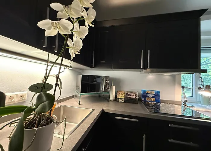 Komposch - Adults Only רייפניץ